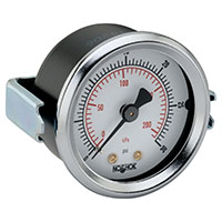 100 Series 0 to 1,000 psi Range Acrylonitrile Butadiene Styrene (ABS) and Steel Case Dry Pressure Gauge (20-120-1000-psi/kPa)